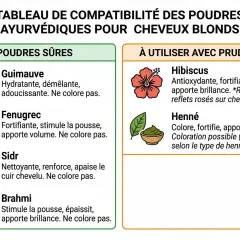 Tableau des poudres ayurvédiques pour cheveux blonds : Guimauve, Fenugrec, Sidr, Brahmi (sûres). Hibiscus et Henné (à utiliser avec prudence).