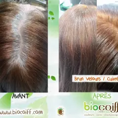 Avant/Après : des cheveux bruns avec des mèches blanches transformés en une teinte "Brun velours / Cuivré Feu" éclatante.