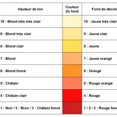 Tableau de colorimétrie pour la coiffure, montrant la hauteur de ton, la couleur du fond et le fond de décoloration.