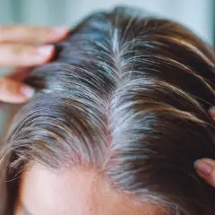 Gros plan sur des cheveux bruns parsemés de mèches blanches. Les doigts effleurent le cuir chevelu, suggérant une réflexion sur la fréquence coloration cheveux blancs.