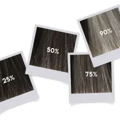 Quatre photos de mèches de cheveux montrent des pourcentages : 25%, 50%, 75%, 90%. Idéal pour le temps de pause Inoa.