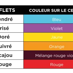 Tableau de colorimétrie en coiffure : reflets cendrés (bleu), irisés (violet), dorés (jaune), cuivrés (orange), acajou (mélange rouge violet) et rouges.