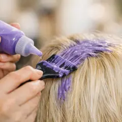 Application d'une patine violette sur des cheveux blonds méchés pour raviver leur éclat.