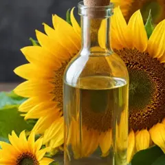 Bouteille d'huile de tournesol dorée, entourée de tournesols éclatants. Un ingrédient naturel pour des cheveux brillants et nourris.
