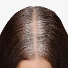 Chevelure brune avec des mèches grises naturelles, un balayage gris subtil qui se mêle à la teinte foncée.