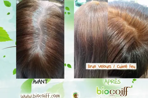 Avant/Après : des cheveux bruns avec des mèches blanches transformés en une teinte "Brun velours / Cuivré Feu" éclatante.