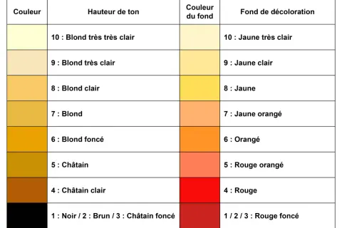 Tableau de colorimétrie pour la coiffure, montrant la hauteur de ton, la couleur du fond et le fond de décoloration.