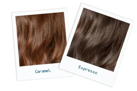 Deux échantillons de cheveux, l'un brun caramel, l'autre brun expresso, montrent des nuances de brun ou châtain.