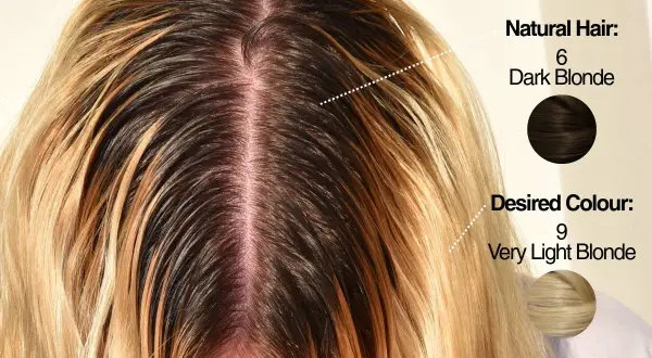Cheveux châtain foncé (6) à éclaircir vers un blond très clair (9). Le dosage coloration oxydant 20 est idéal pour cette transformation.