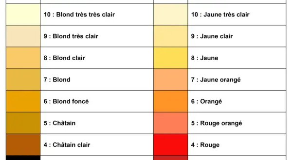 Tableau de colorimétrie pour la coiffure, montrant la hauteur de ton, la couleur du fond et le fond de décoloration.