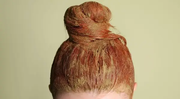 Chevelure rousse en chignon, recouverte d'une pâte de coloration végétale blonde.