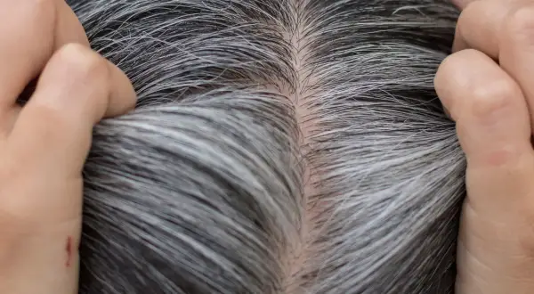 Gros plan sur des cheveux gris et blancs, montrant la décoloration naturelle. Des mains touchent délicatement la chevelure.