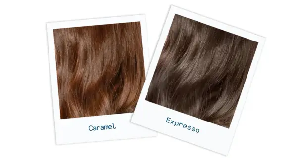 Deux échantillons de cheveux, l'un brun caramel, l'autre brun expresso, montrent des nuances de brun ou châtain.