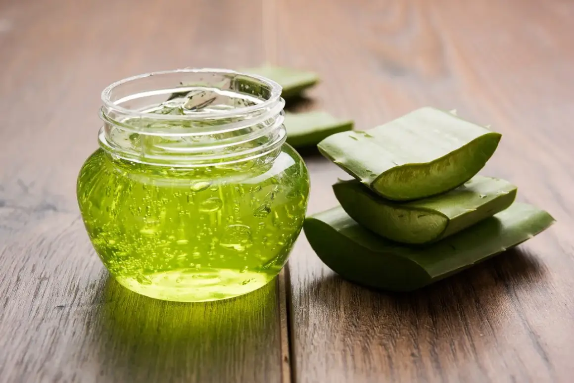 Un pot de gel aloe vera, parfait pour les cheveux, à côté de feuilles d'aloe vera coupées sur fond de bois.