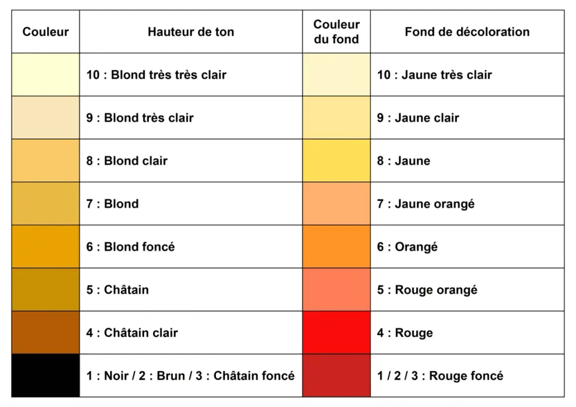 Tableau de colorimétrie pour la coiffure, montrant la hauteur de ton, la couleur du fond et le fond de décoloration.