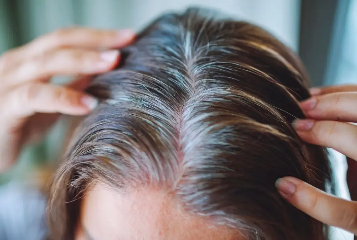 Gros plan sur des cheveux bruns parsemés de mèches blanches. Les doigts effleurent le cuir chevelu, suggérant une réflexion sur la fréquence coloration cheveux blancs.