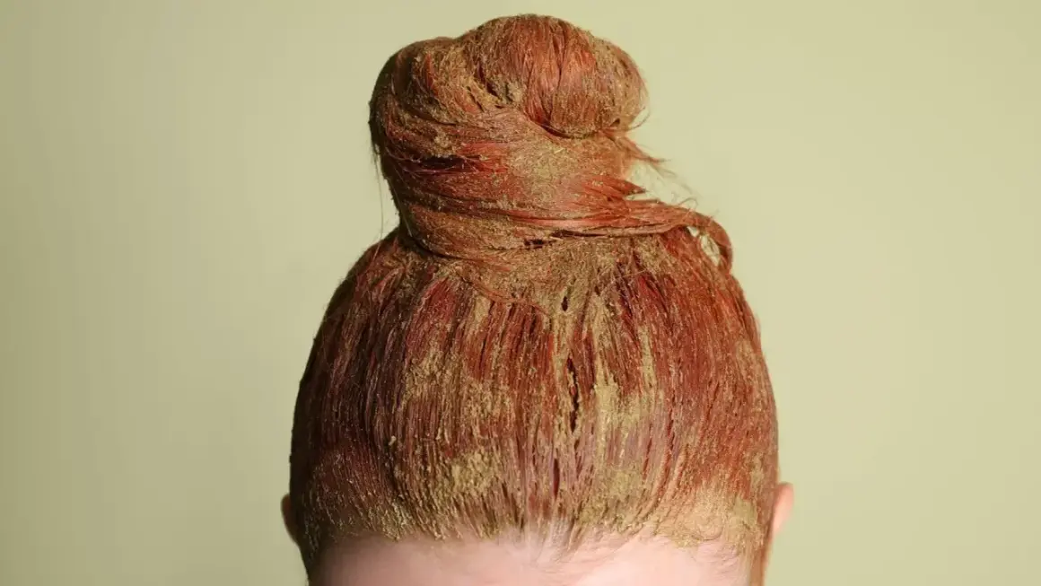 Chevelure rousse en chignon, recouverte d'une pâte de coloration végétale blonde.