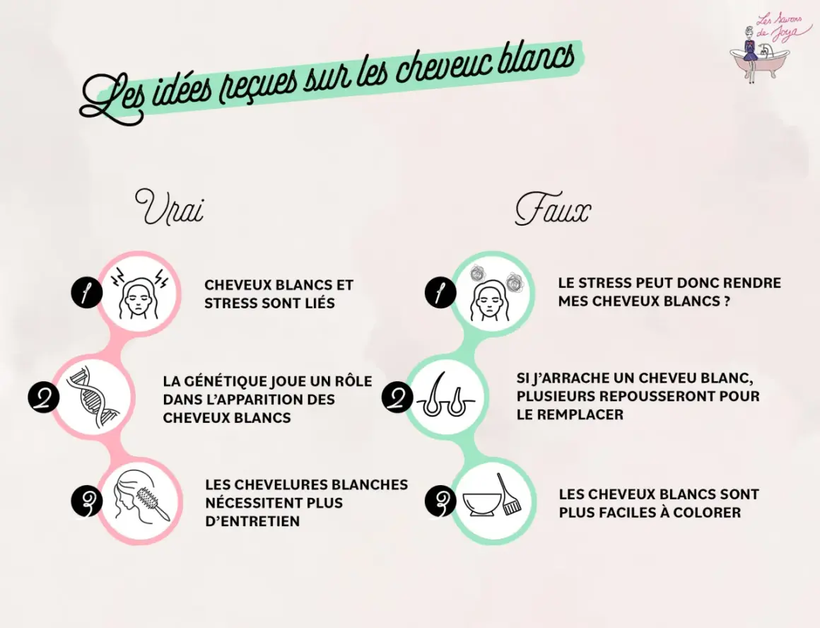 Infographie sur les idées reçues sur les cheveux blancs. Le point 9 sous "Faux" indique que la coloration favorise les cheveux blancs, ce qui est faux.