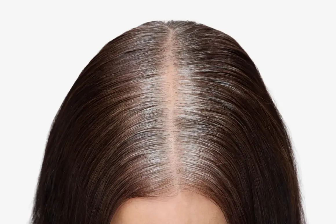 Chevelure brune avec des mèches grises naturelles, un balayage gris subtil qui se mêle à la teinte foncée.