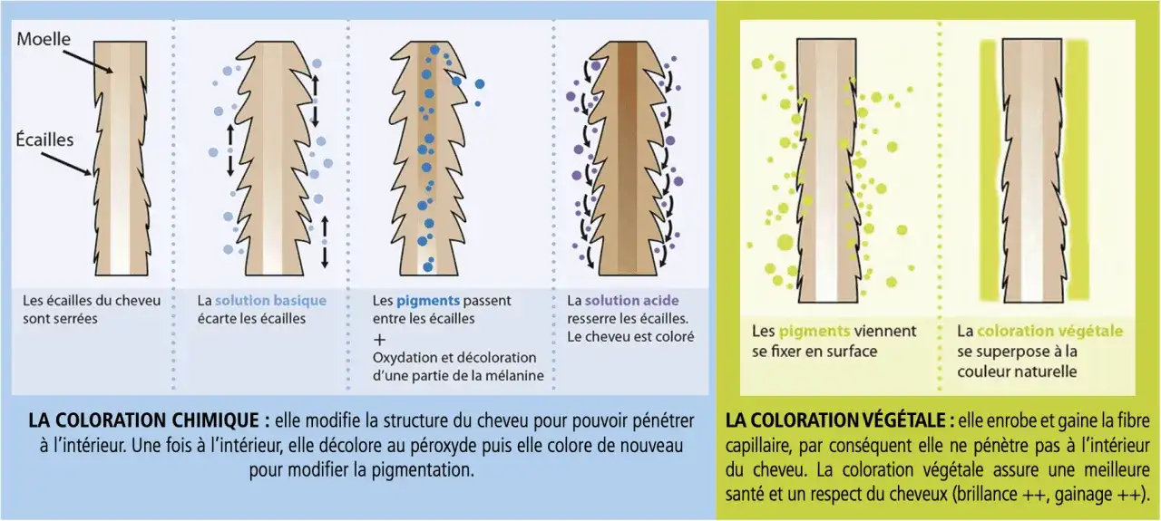 Changer de couleur de cheveux en respectant sa fibre