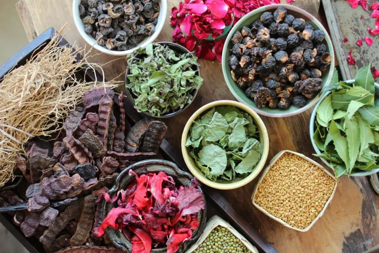 Ingrédients naturels pour une poudre ayurvédique cheveux : shikakai, reetha, amla, neem, fenugrec, fleurs d'hibiscus.