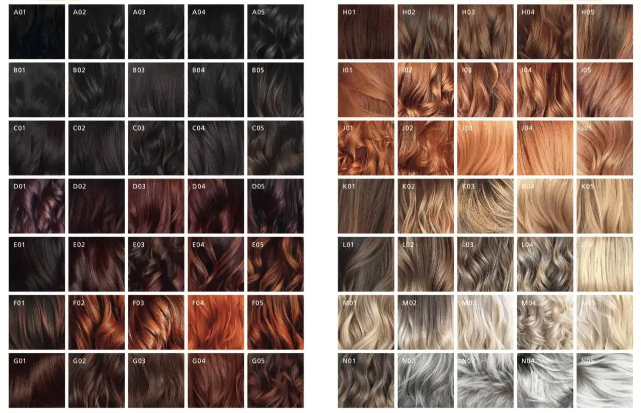 Un catalogue de palette de couleur cheveux, des bruns profonds aux blonds glacés, en passant par des roux flamboyants.