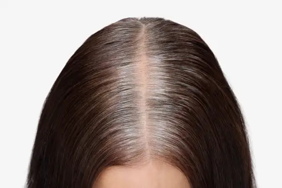 Balayage gris sur cheveux bruns - nuances, prix et entretien