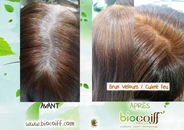 Avant/Après : des cheveux bruns avec des mèches blanches transformés en une teinte "Brun velours / Cuivré Feu" éclatante.