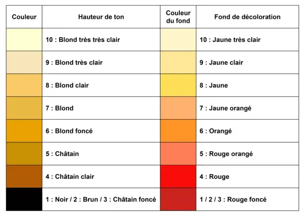 Tableau de colorimétrie pour la coiffure, montrant la hauteur de ton, la couleur du fond et le fond de décoloration.