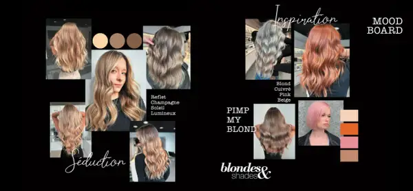 Collage de photos de cheveux blonds aux reflets variés, allant du champagne au cuivré, avec des échantillons de couleurs.
