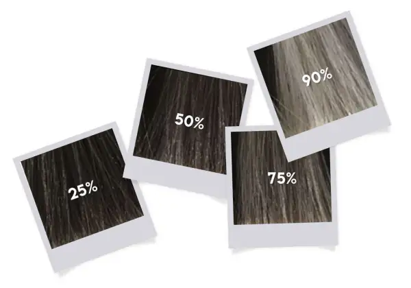 Quatre photos de mèches de cheveux montrent des pourcentages : 25%, 50%, 75%, 90%. Idéal pour le temps de pause Inoa.