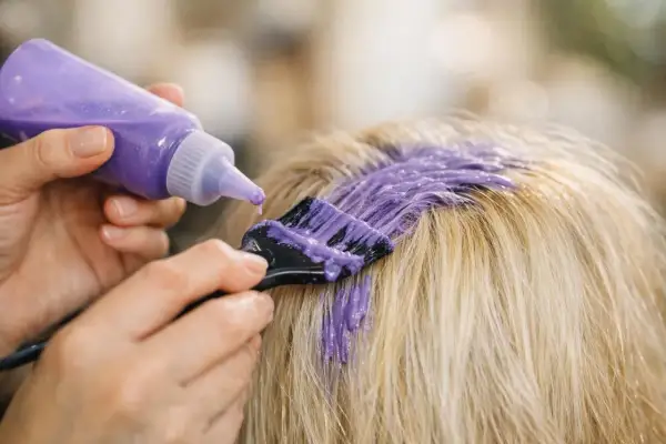 Application d'une patine violette sur des cheveux blonds méchés pour raviver leur éclat.