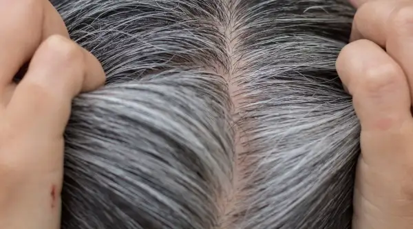 Gros plan sur des cheveux gris et blancs, montrant la décoloration naturelle. Des mains touchent délicatement la chevelure.